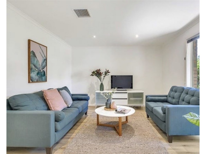 31  Frederick Street, Richmond SA 5033