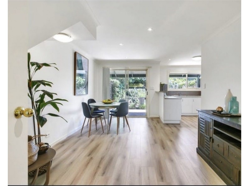 31  Frederick Street, Richmond SA 5033