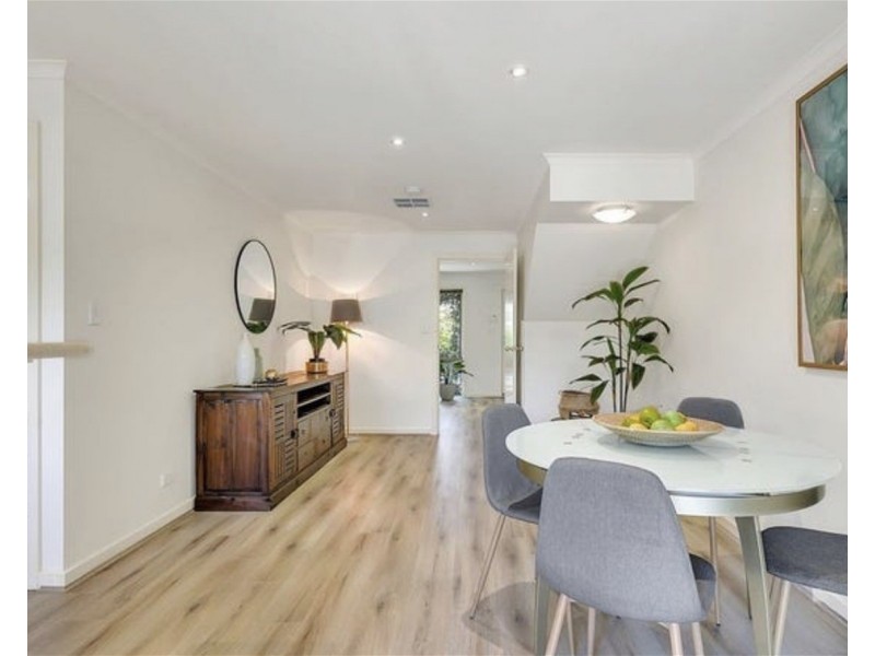 31  Frederick Street, Richmond SA 5033