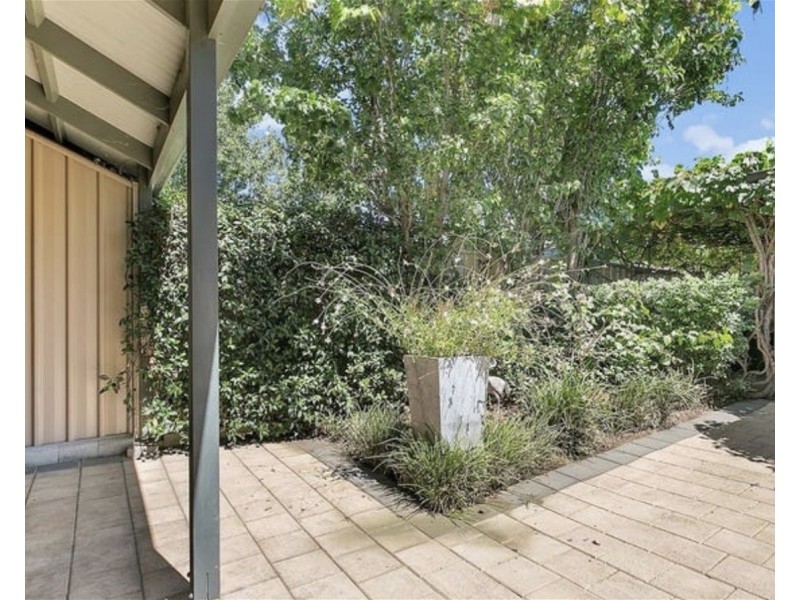 31  Frederick Street, Richmond SA 5033