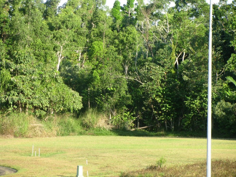 17 Oceanview Drive, Wongaling Beach QLD 4852