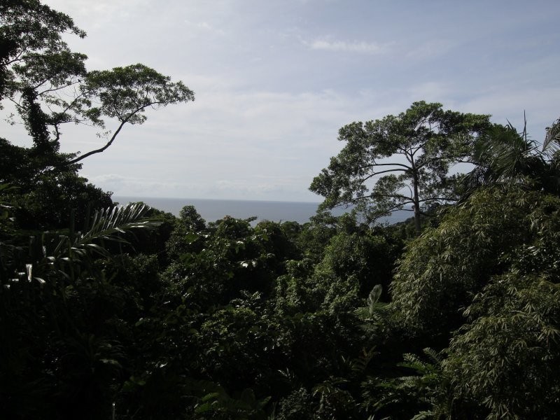 23 Bicton Close, Bingil Bay QLD 4852