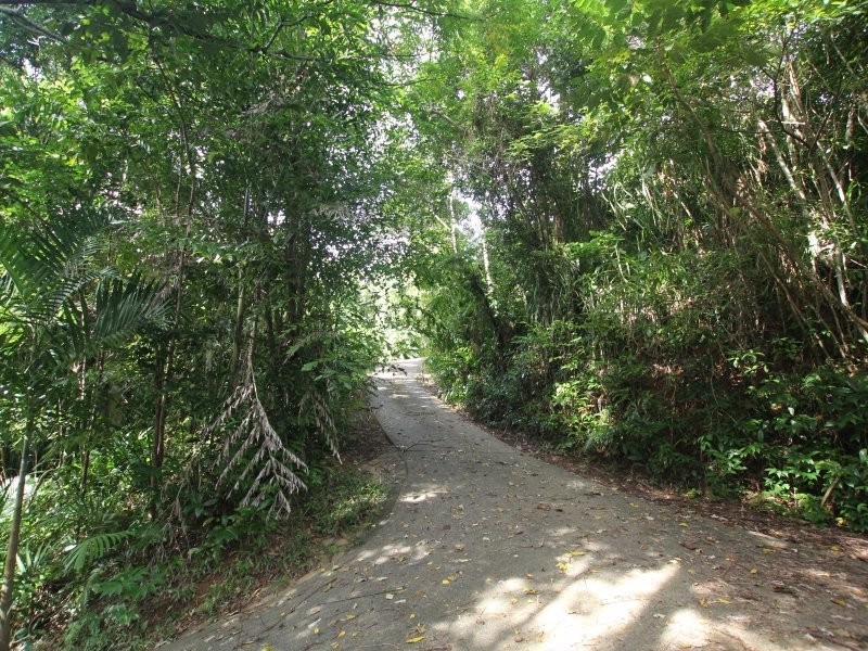 23 Bicton Close, Bingil Bay QLD 4852