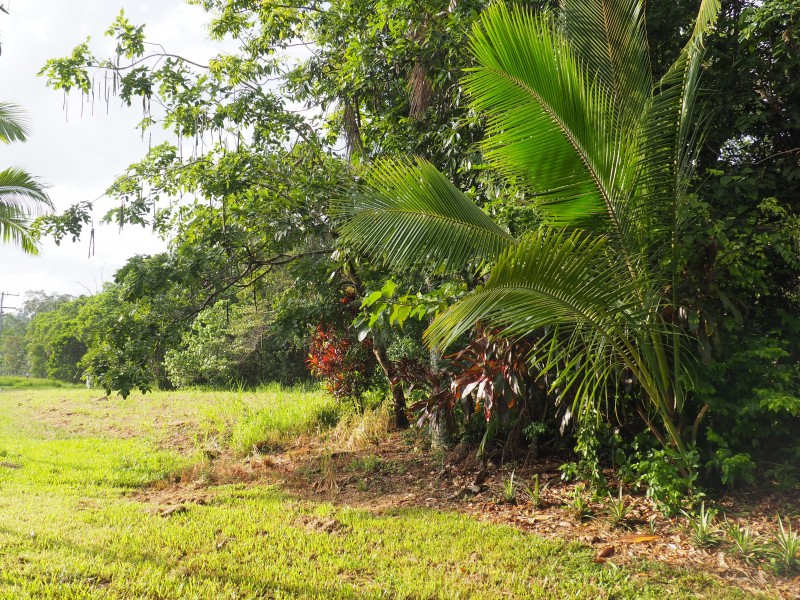 6 Lindsay Road, Carmoo QLD 4852