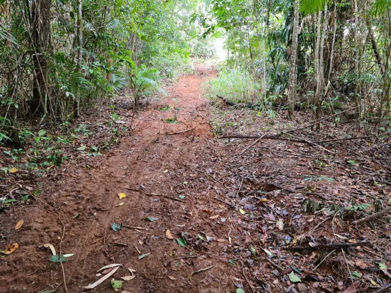 Lot 2 Old Tully Road, Djarawong QLD 4854