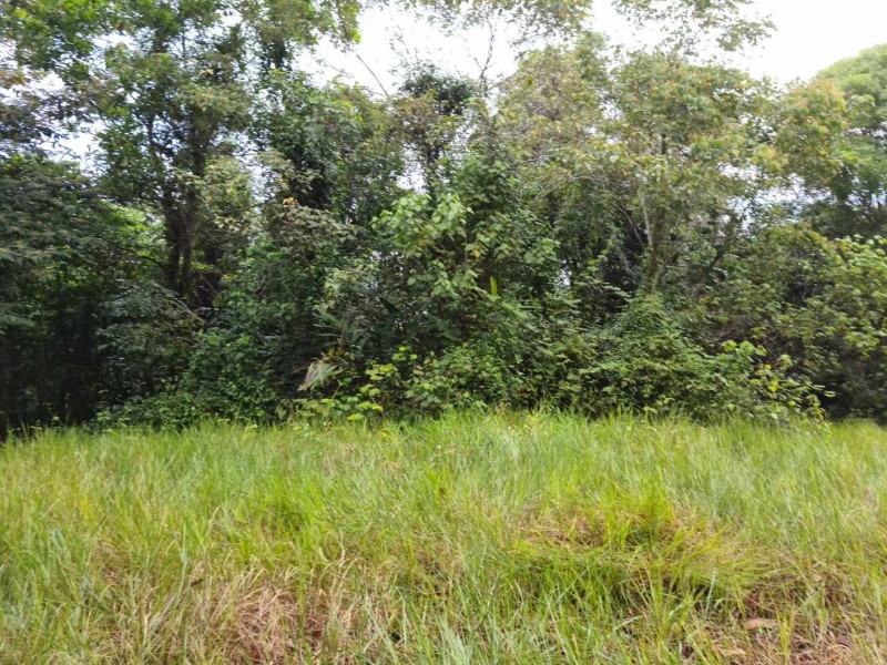 Lot 2 Old Tully Road, Djarawong QLD 4854