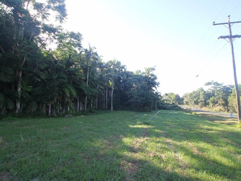 Lot 2 Old Tully Road, Djarawong QLD 4854