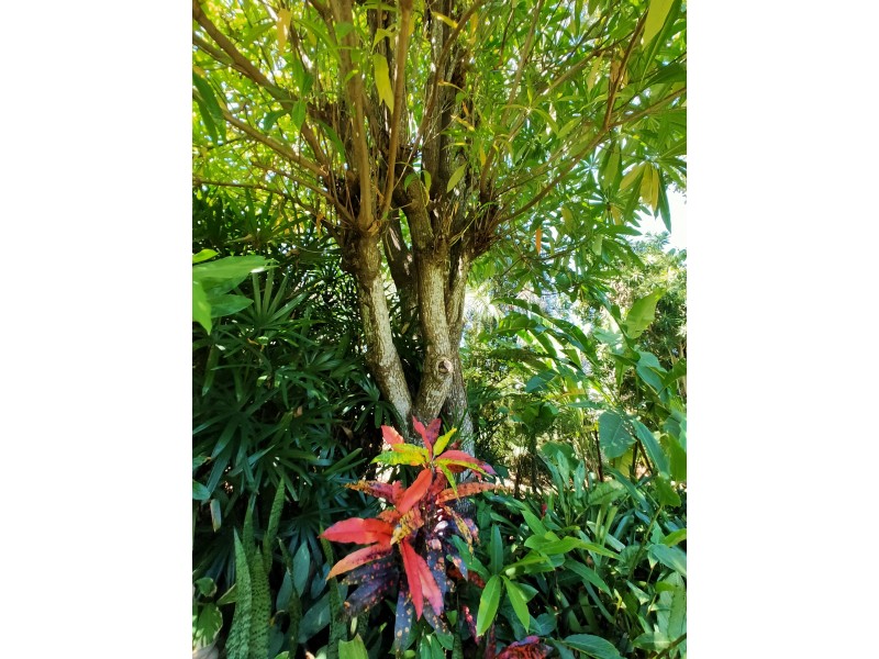 12 Admiralty Street, South Mission Beach QLD 4852