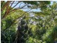145 Hill Sixty Road, Jaffa QLD 4855