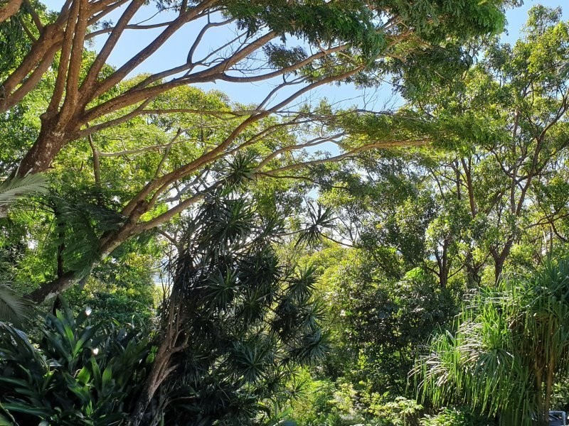 145 Hill Sixty Road, Jaffa QLD 4855