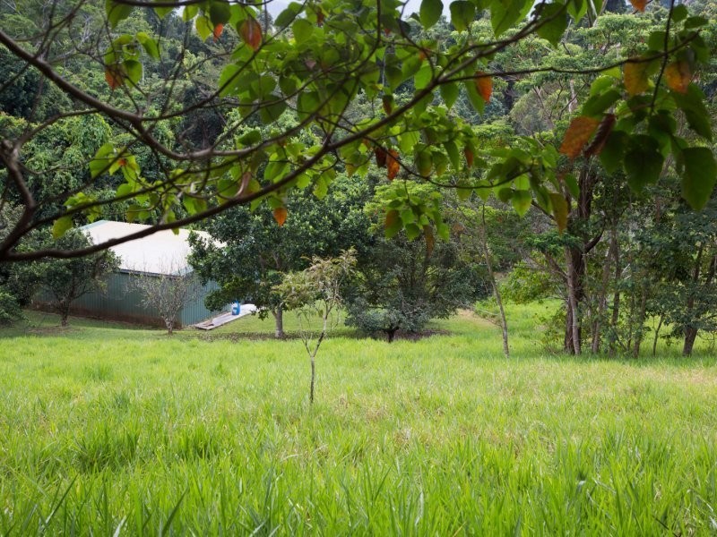 145 Hill Sixty Road, Jaffa QLD 4855