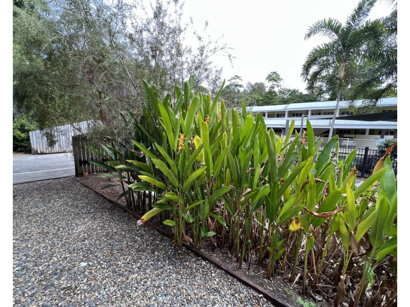 Unit 4/22 Wongaling Beach Rd, Wongaling Beach QLD 4852