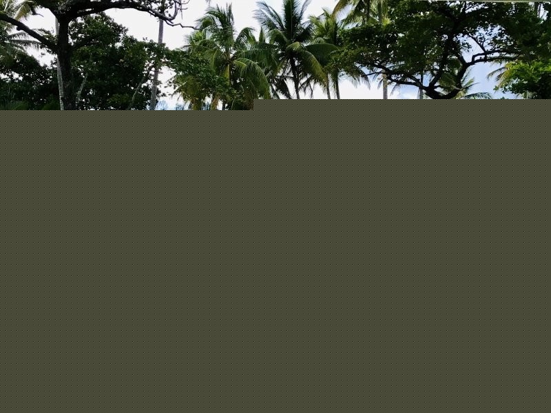 2/26 Donkin Lane, Mission Beach QLD 4852