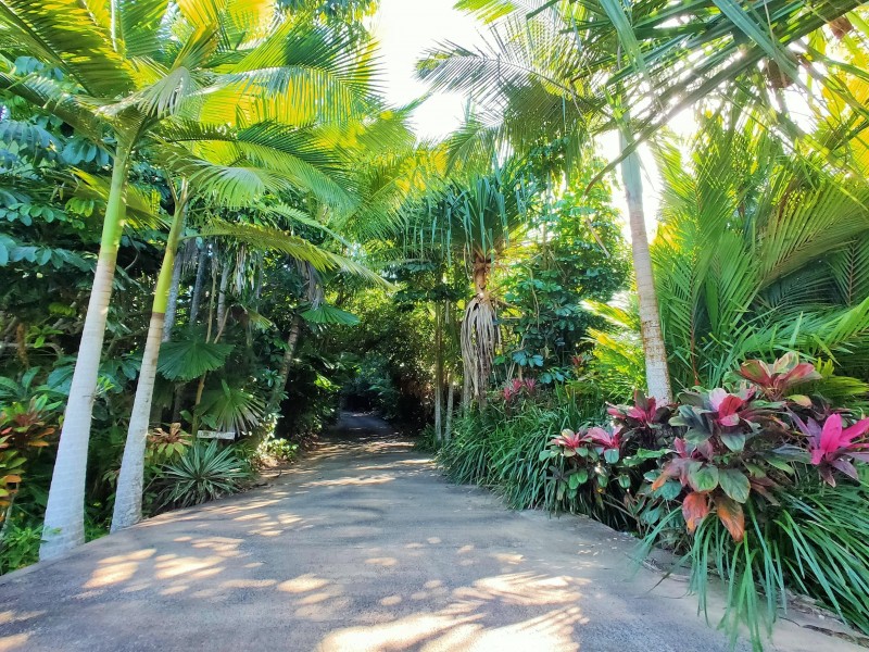 50 Rockingham Cl, Wongaling Beach QLD 4852
