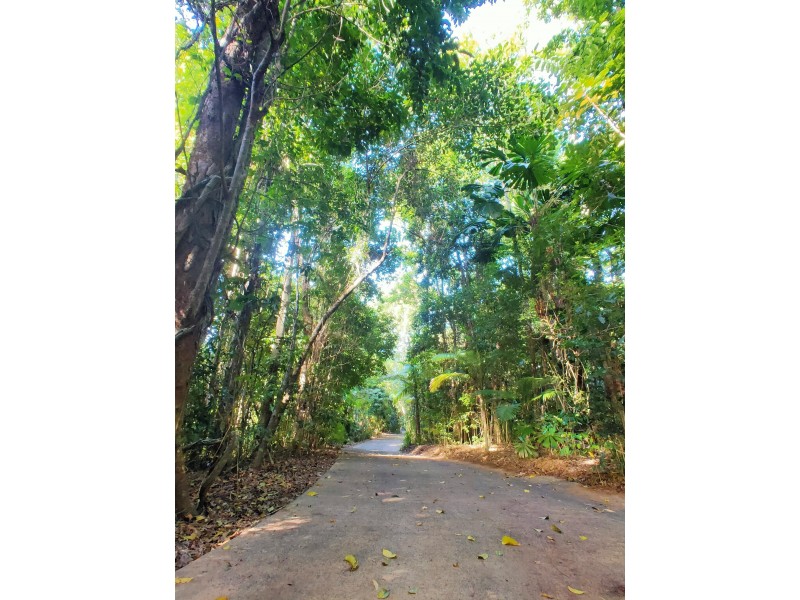 50 Rockingham Cl, Wongaling Beach QLD 4852