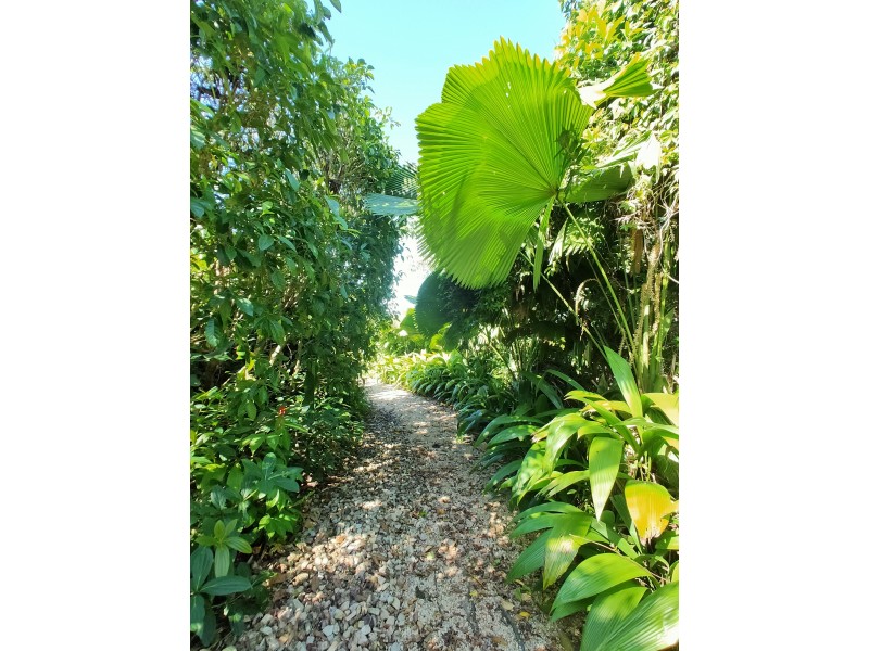 50 Rockingham Cl, Wongaling Beach QLD 4852