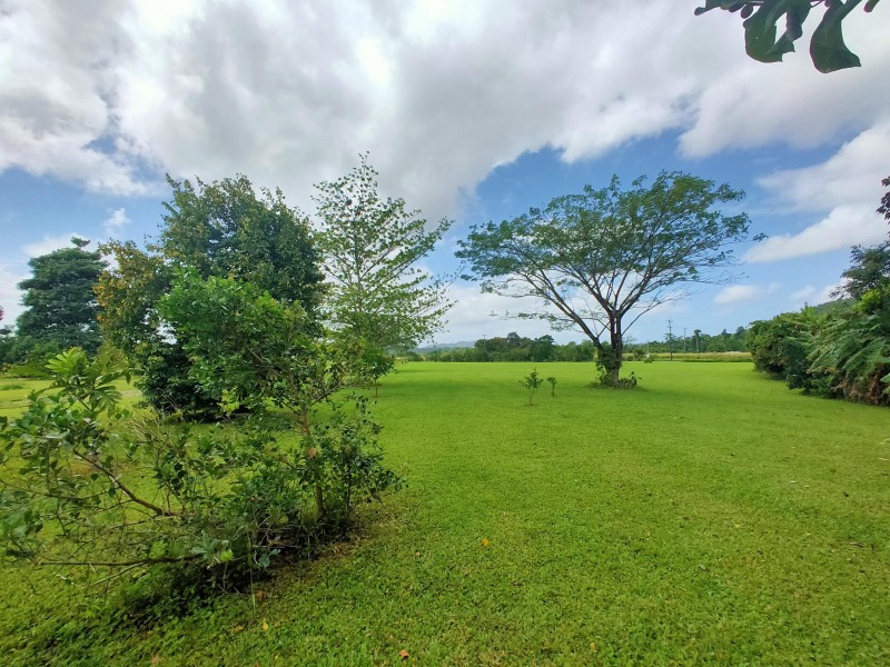 1445 Old Tully Rd, Maadi QLD 4855