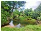 1445 Old Tully Rd, Maadi QLD 4855