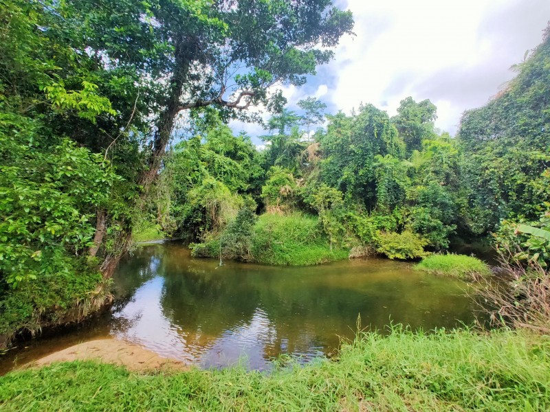 1445 Old Tully Rd, Maadi QLD 4855