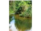 1445 Old Tully Rd, Maadi QLD 4855