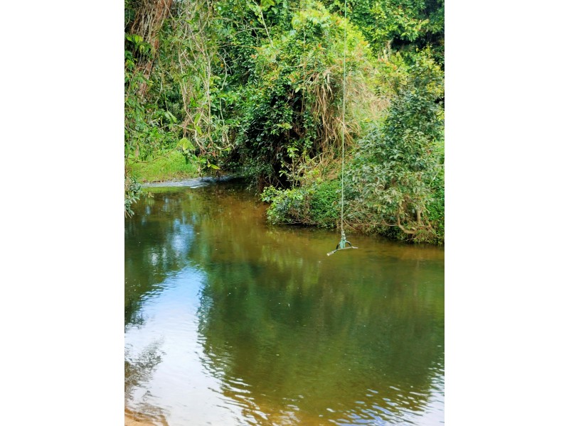 1445 Old Tully Rd, Maadi QLD 4855