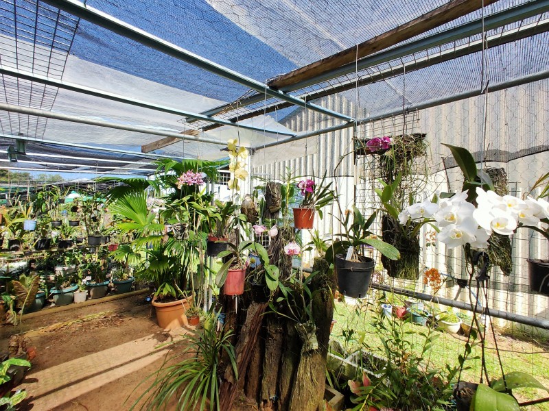6 Nivosa Ct, Mission Beach QLD 4852
