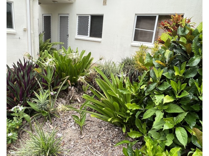 2/163 Reid Road, Wongaling Beach QLD 4852