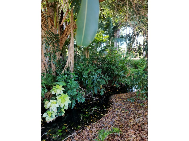 3 Kwila Street, Wongaling Beach QLD 4852