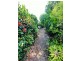 8 Dunkalli Crescent, Wongaling Beach QLD 4852