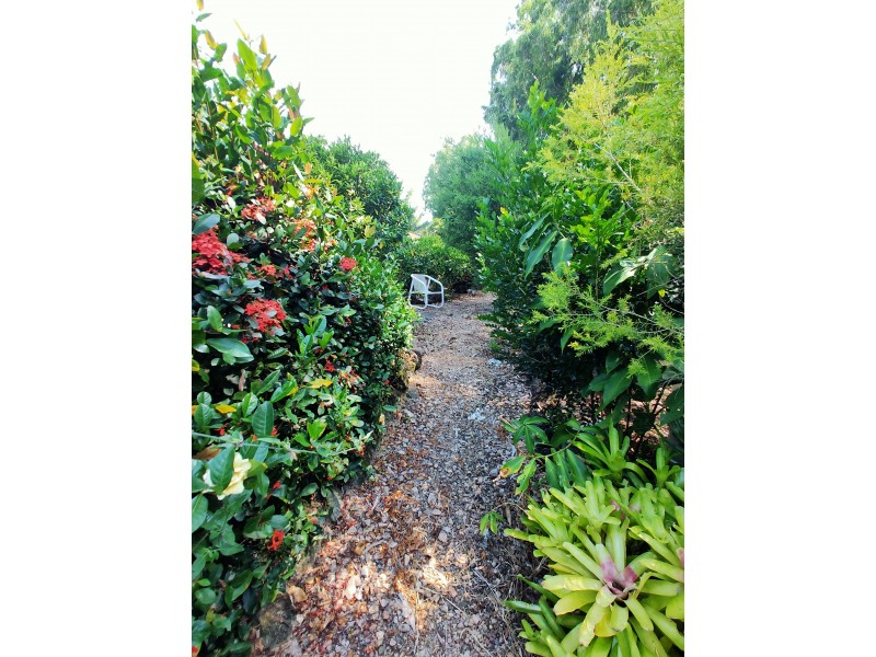 8 Dunkalli Crescent, Wongaling Beach QLD 4852