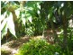 3 Wildsoet St, Wongaling Beach QLD 4852