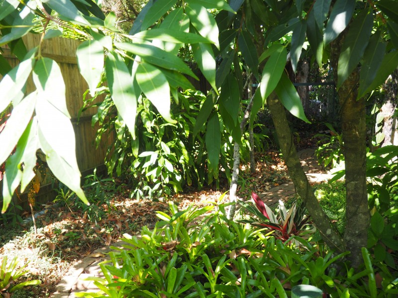 3 Wildsoet St, Wongaling Beach QLD 4852