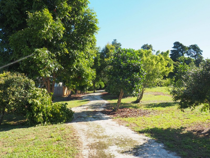 3 Lani Close, Mission Beach QLD 4852