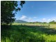 LOT 2 Feluga Rd, Feluga QLD 4854
