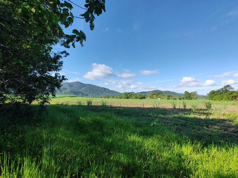 LOT 2 Feluga Rd, Feluga QLD 4854