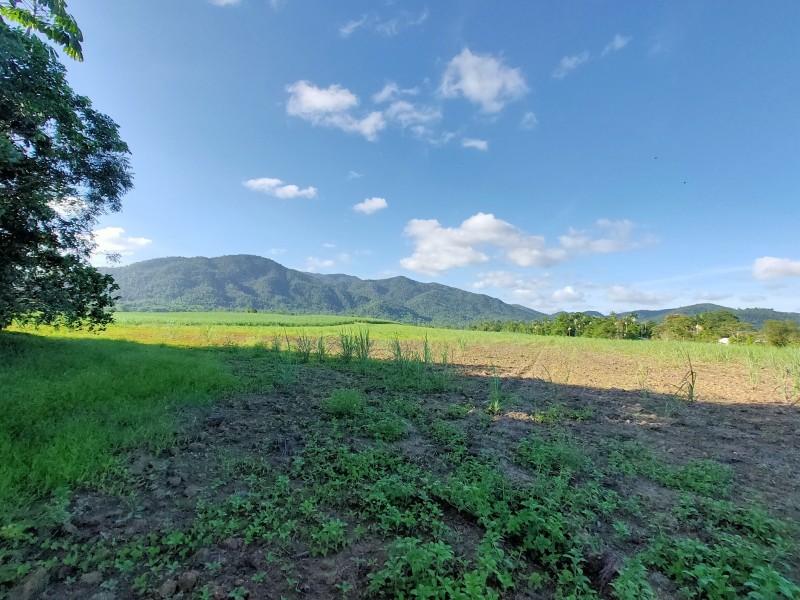 LOT 2 Feluga Rd, Feluga QLD 4854