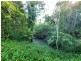 LOT 2 Feluga Rd, Feluga QLD 4854