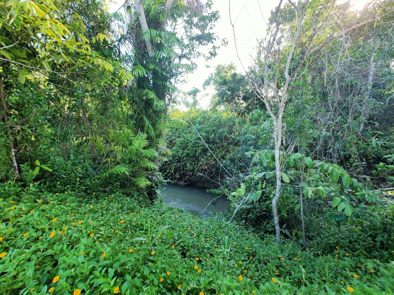 LOT 2 Feluga Rd, Feluga QLD 4854