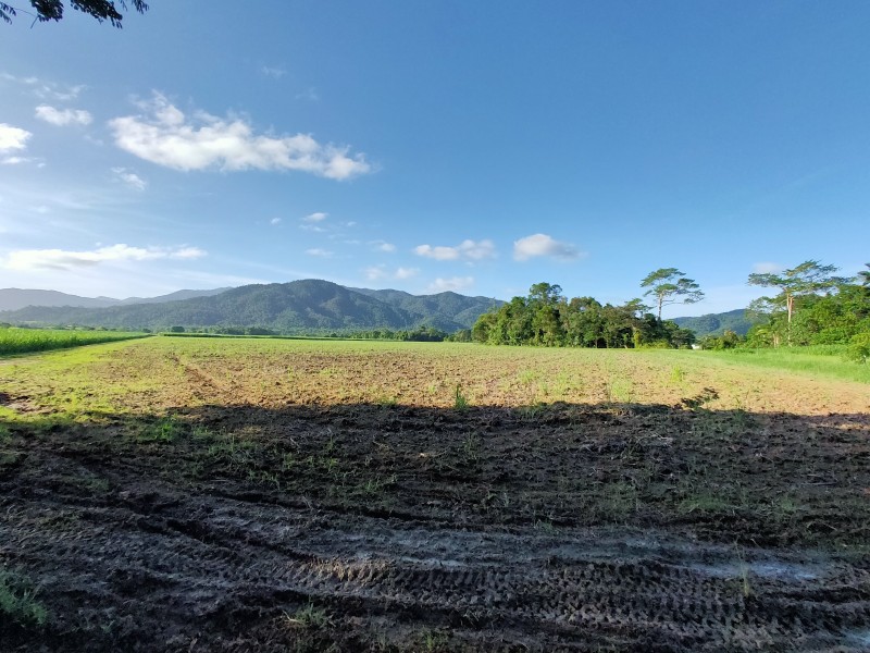 LOT 2 Feluga Rd, Feluga QLD 4854