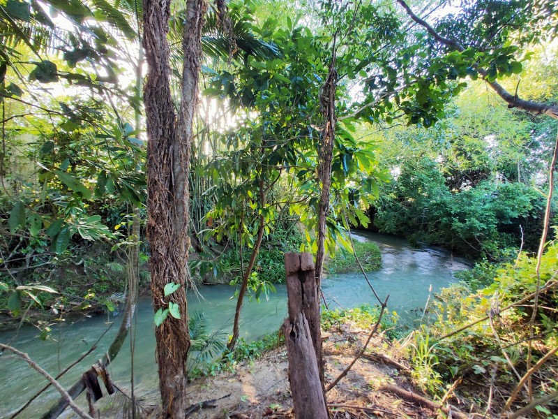 LOT 2 Feluga Rd, Feluga QLD 4854