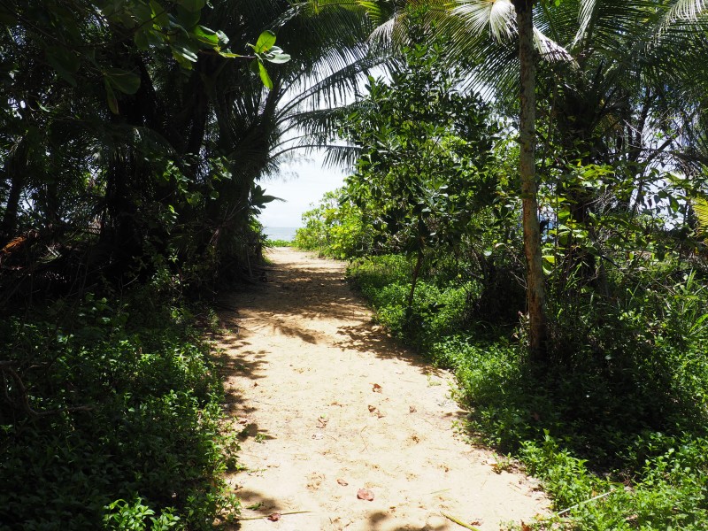 37 Kwila St, Wongaling Beach QLD 4852