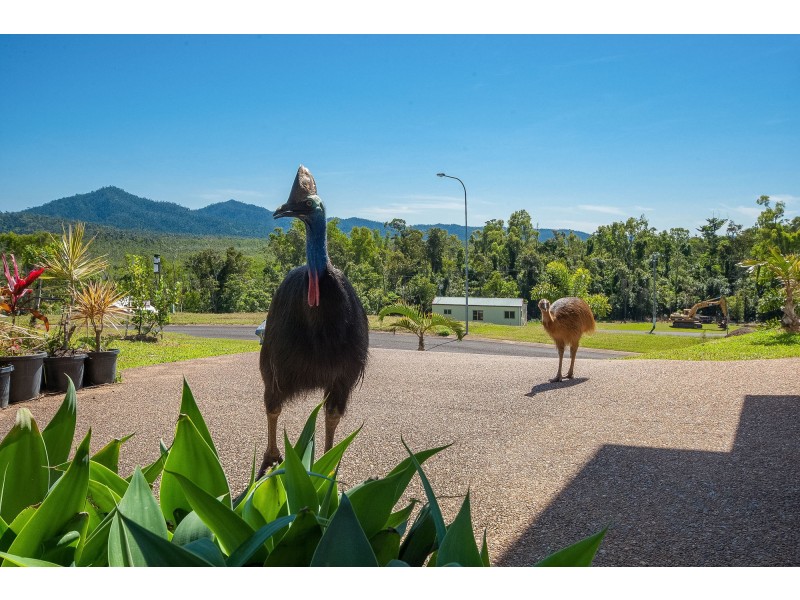 15 Riverside Terrace, South Mission Beach QLD 4852