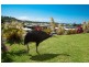 15 Riverside Terrace, South Mission Beach QLD 4852