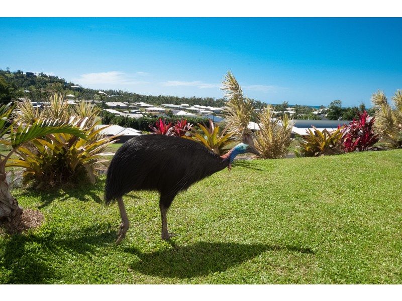 15 Riverside Terrace, South Mission Beach QLD 4852