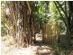7 Hutchison Cl, Mission Beach QLD 4852
