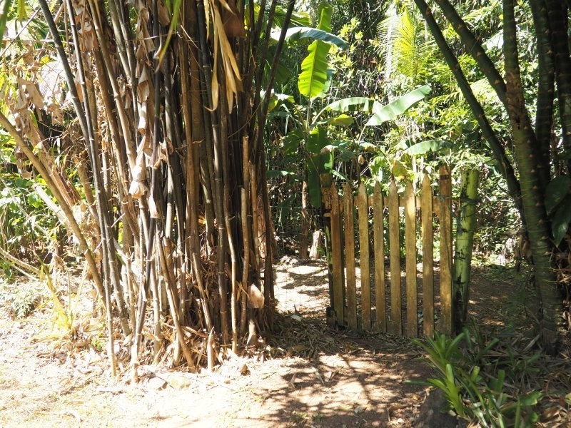 7 Hutchison Cl, Mission Beach QLD 4852