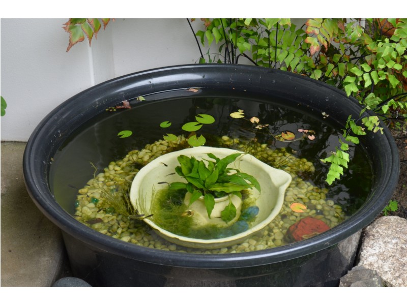 11 Coolibah St, Wongaling Beach QLD 4852