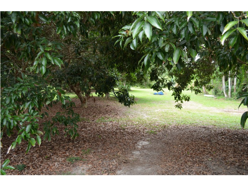 11 Coolibah St, Wongaling Beach QLD 4852