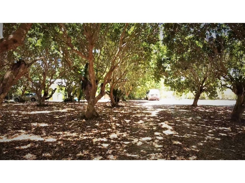 11 Coolibah St, Wongaling Beach QLD 4852