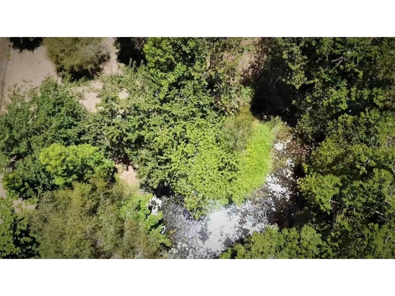 11 Coolibah St, Wongaling Beach QLD 4852